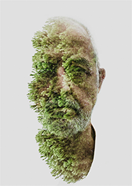 Father