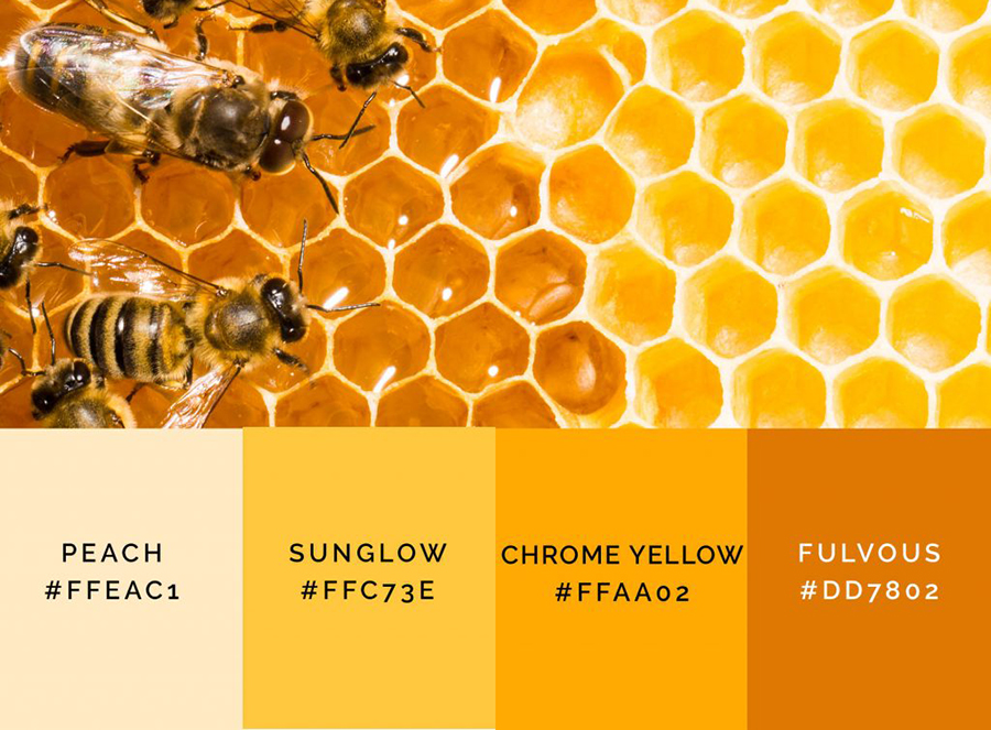 6 tông màu Xu hướng chủ đạo năm 2023 3