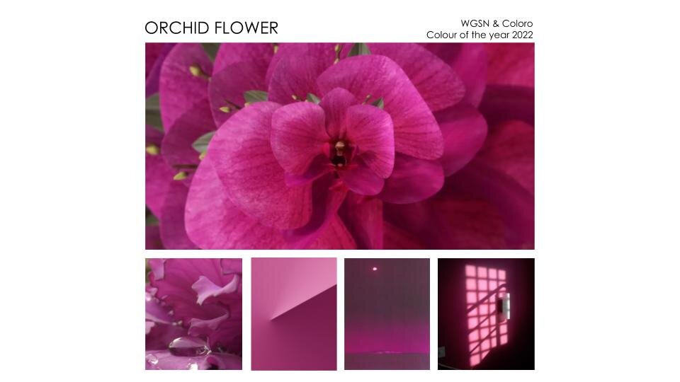 6 tông màu Xu hướng chủ đạo năm 2023 1