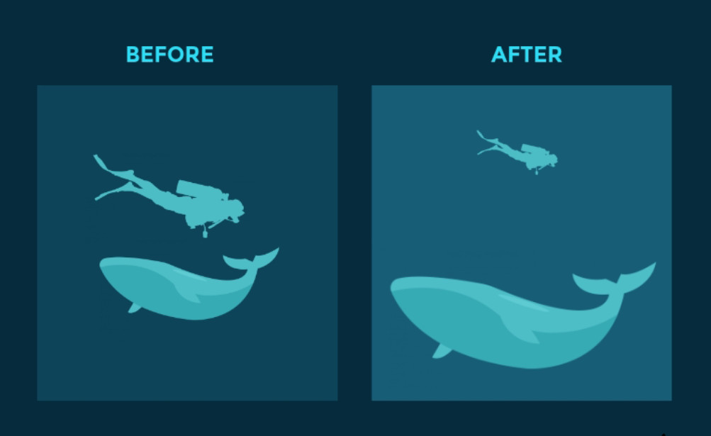 ph&acirc;n cấp thị gi&aacute;c