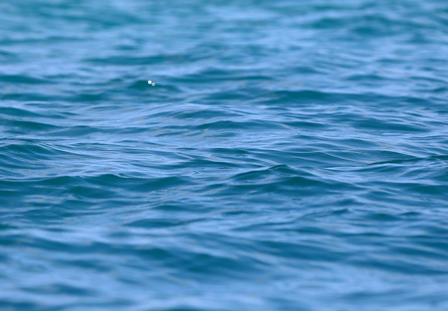 6 t&ocirc;ng m&agrave;u Xu hướng chủ đạo năm 2023