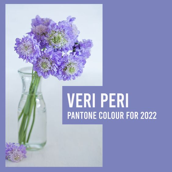 Veri Pery color